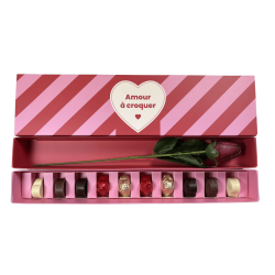 Fourreau Rose/Chocolat