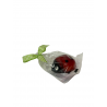 Coccinelle en pâte d'amande